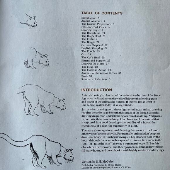 Animal Drawing Instruction Manual - Picture 3 of 11